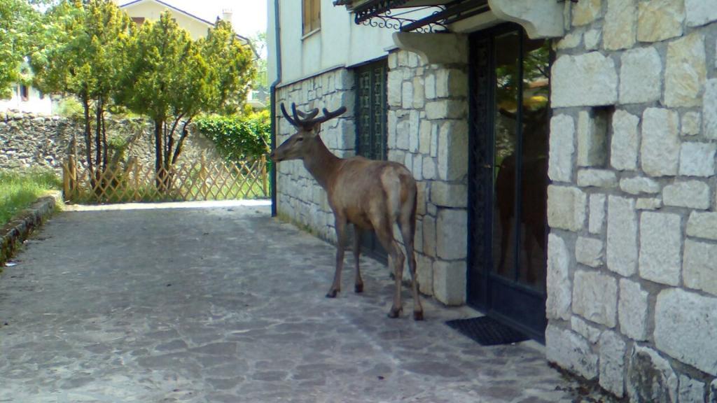 Appartamenti De Sanctis Villetta Barrea Exterior foto